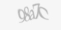 Защитный код